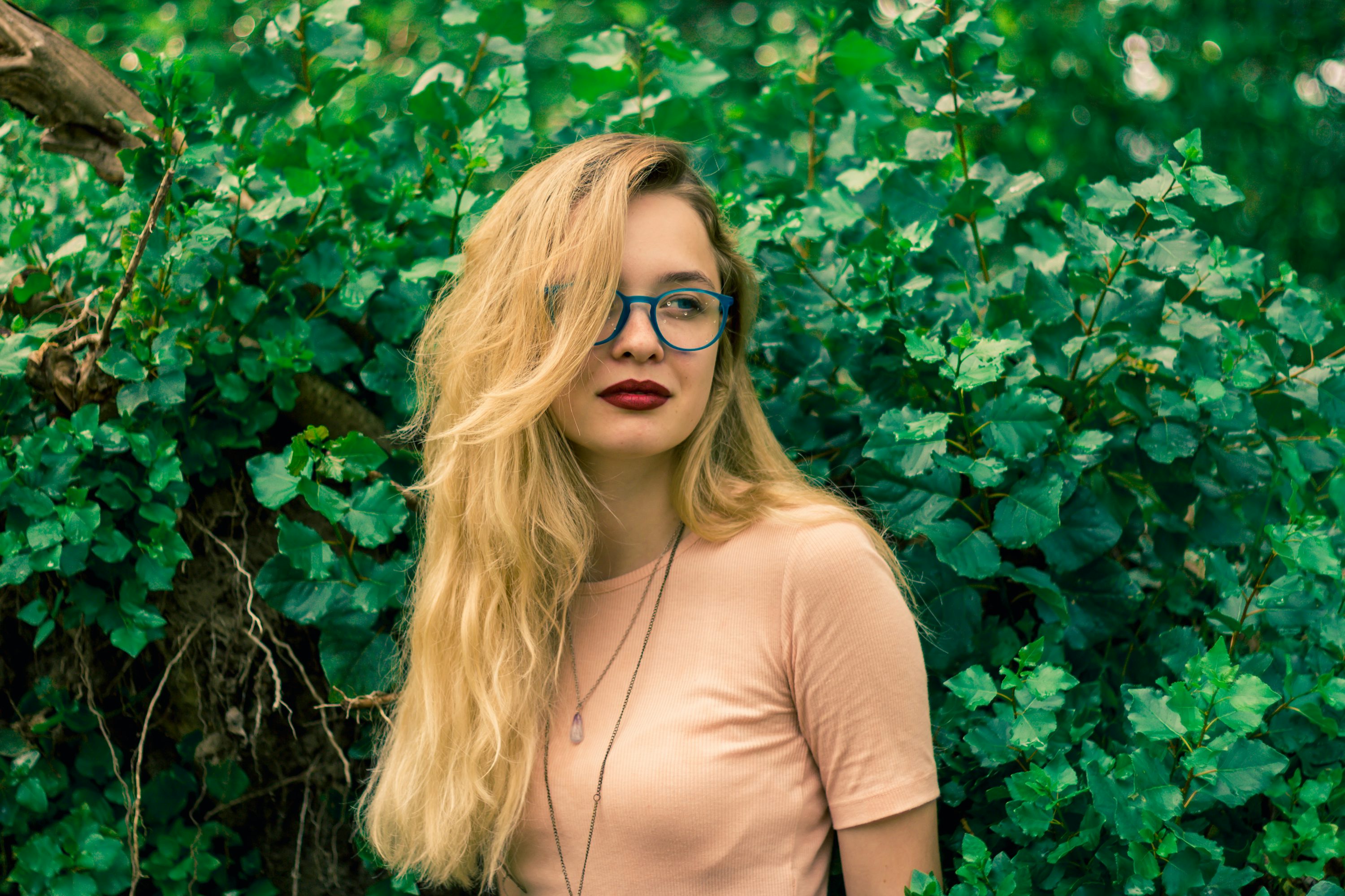 Profile